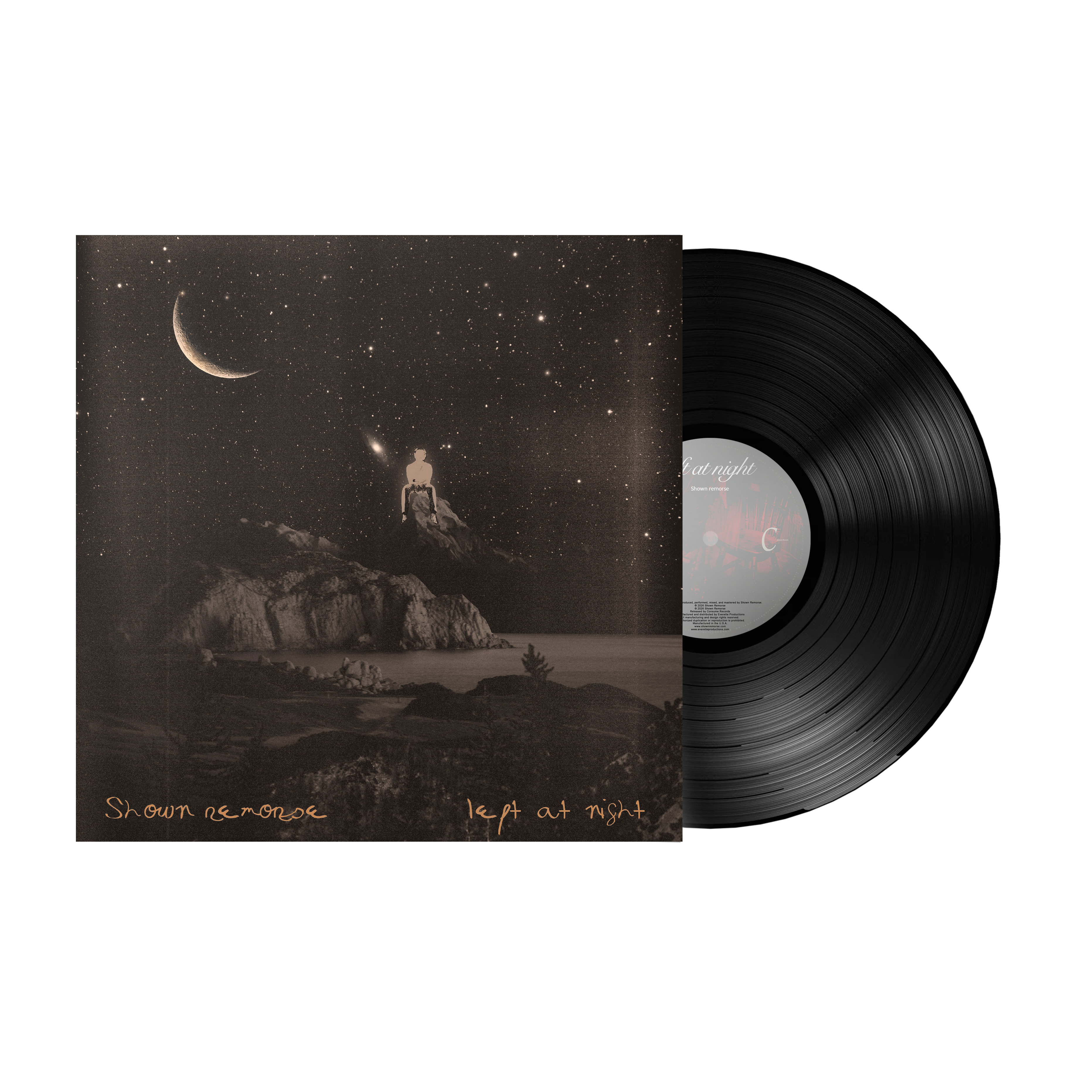 left at night - Vinyl LP