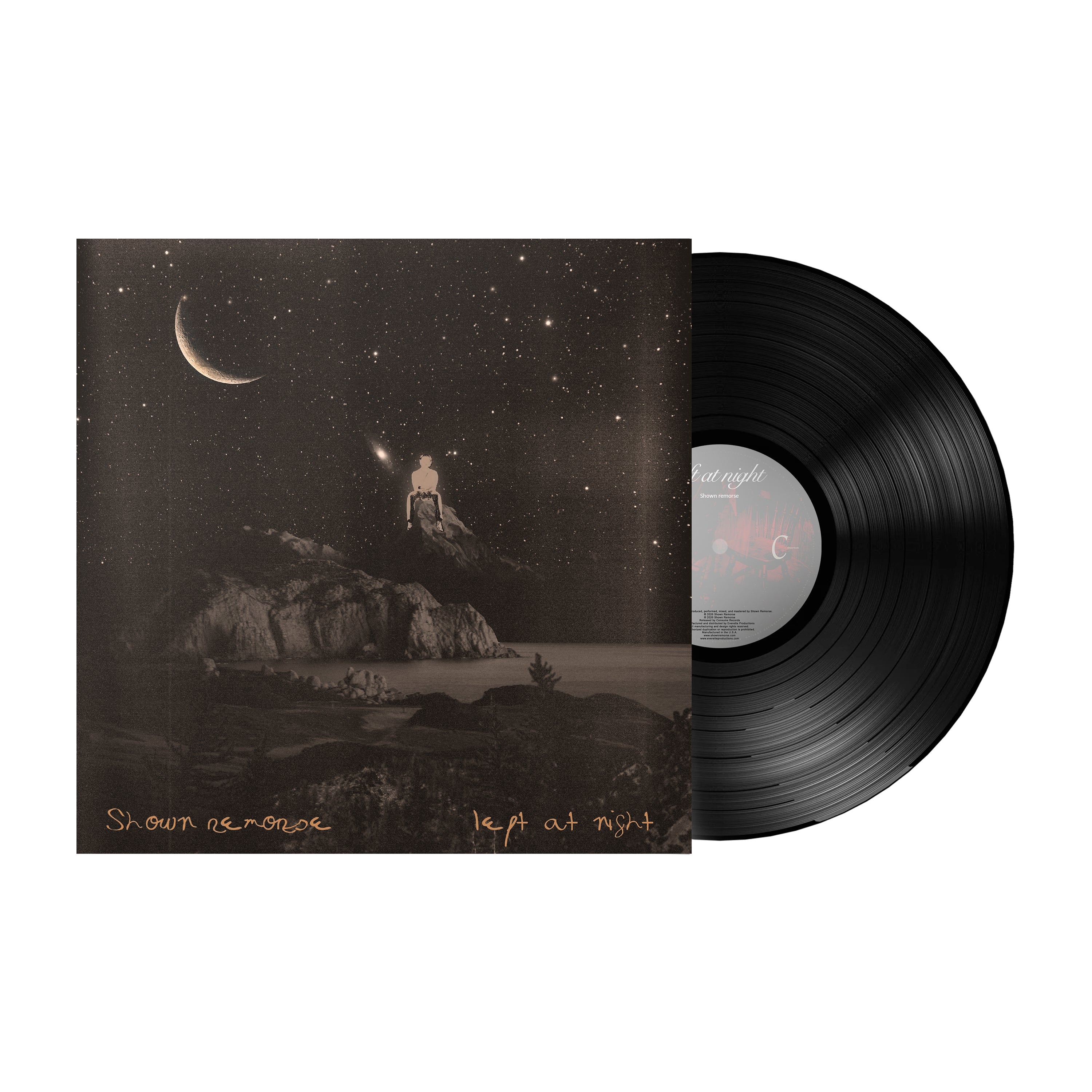 left at night - Vinyl LP